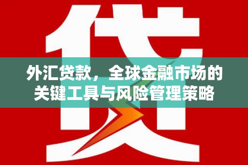玉树外汇贷款，全球金融市场的关键工具与风险管理策略