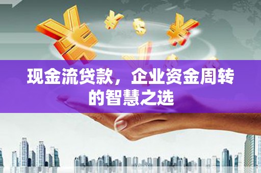 玉树现金流贷款，企业资金周转的智慧之选