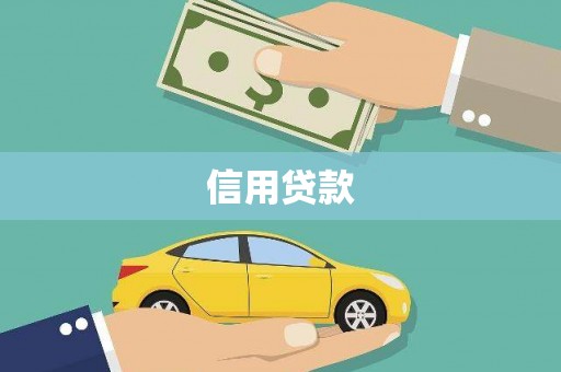玉树信用贷款