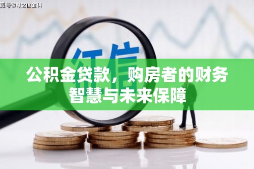 玉树公积金贷款，购房者的财务智慧与未来保障