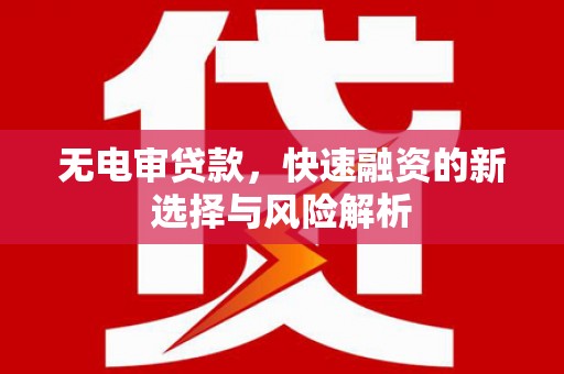 玉树无电审贷款，快速融资的新选择与风险解析