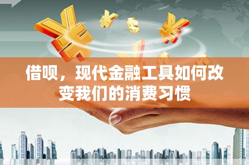 玉树借呗，现代金融工具如何改变我们的消费习惯