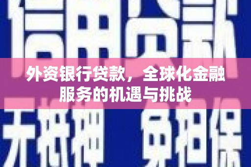 玉树外资银行贷款，全球化金融服务的机遇与挑战