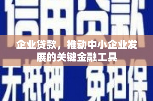 玉树企业贷款，推动中小企业发展的关键金融工具