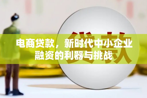 玉树电商贷款，新时代中小企业融资的利器与挑战