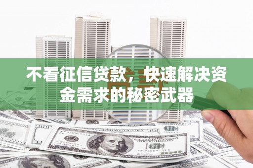 玉树不看征信贷款，快速解决资金需求的秘密武器