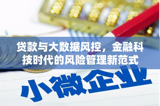 玉树贷款与大数据风控，金融科技时代的风险管理新范式