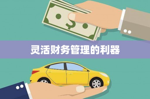 玉树灵活财务管理的利器