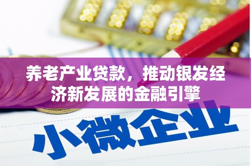 玉树养老产业贷款，推动银发经济新发展的金融引擎