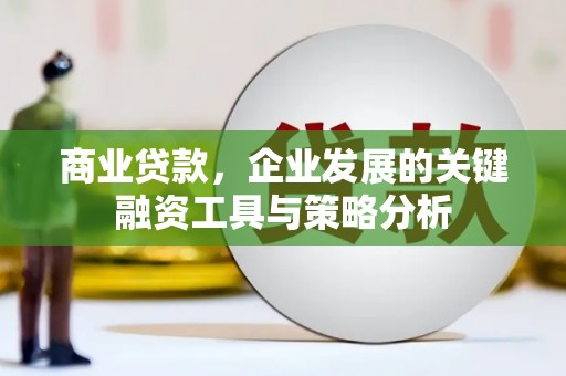玉树商业贷款，企业发展的关键融资工具与策略分析
