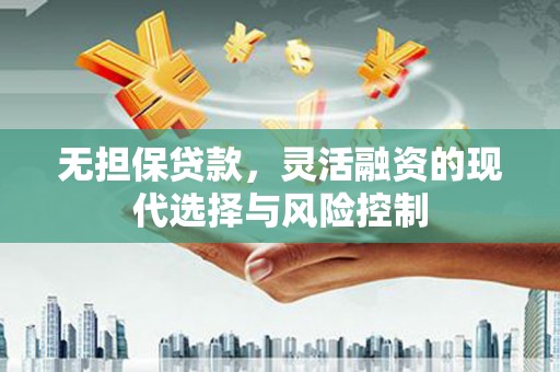 玉树无担保贷款，灵活融资的现代选择与风险控制
