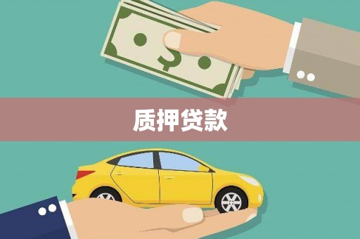 玉树质押贷款