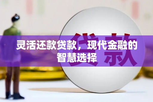 玉树灵活还款贷款，现代金融的智慧选择