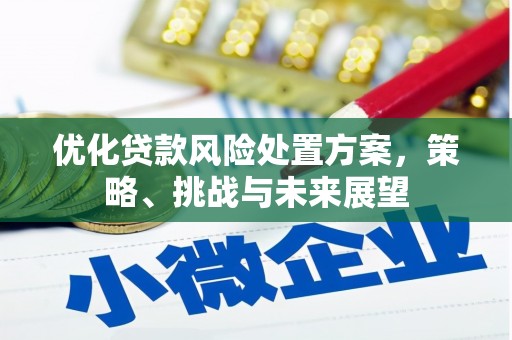 玉树优化贷款风险处置方案，策略、挑战与未来展望