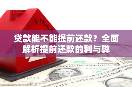 玉树贷款能不能提前还款？全面解析提前还款的利与弊