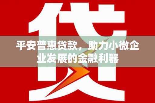 玉树平安普惠贷款，助力小微企业发展的金融利器
