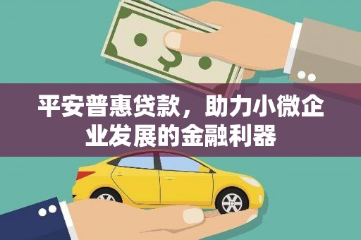玉树平安普惠贷款，助力小微企业发展的金融利器