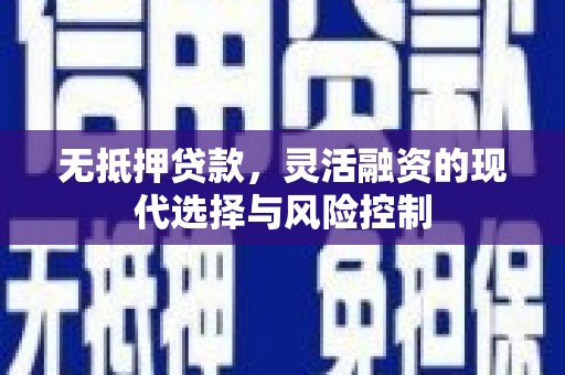 玉树无抵押贷款，灵活融资的现代选择与风险控制