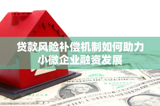玉树贷款风险补偿机制如何助力小微企业融资发展