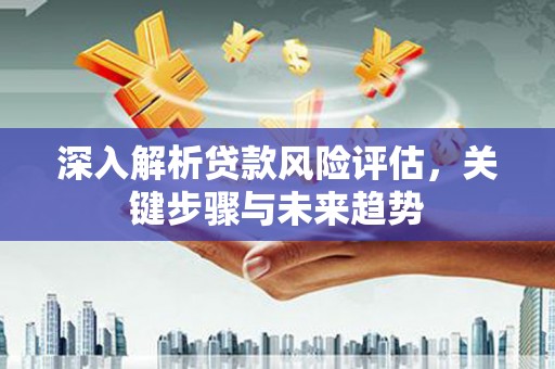 玉树深入解析贷款风险评估，关键步骤与未来趋势