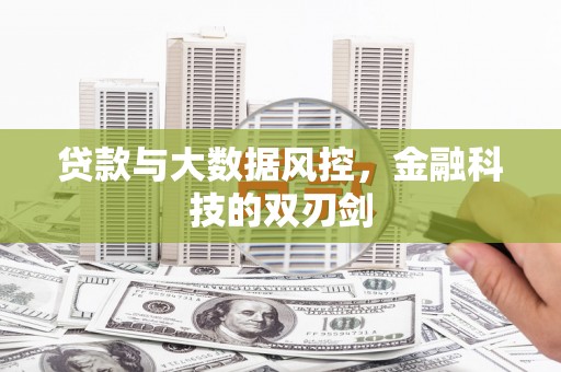 玉树贷款与大数据风控，金融科技的双刃剑