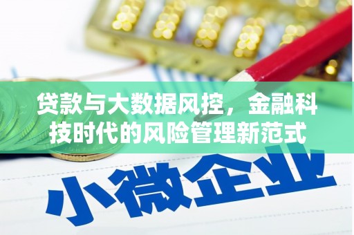 玉树贷款与大数据风控，金融科技时代的风险管理新范式