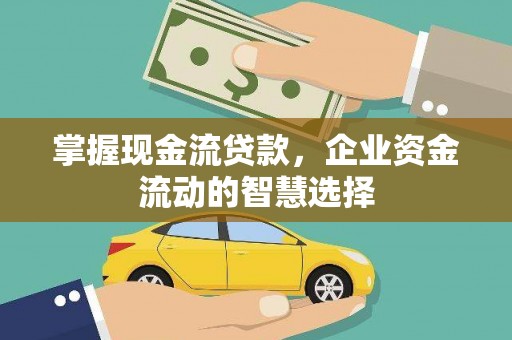 玉树掌握现金流贷款，企业资金流动的智慧选择