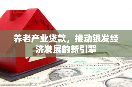 玉树养老产业贷款，推动银发经济发展的新引擎