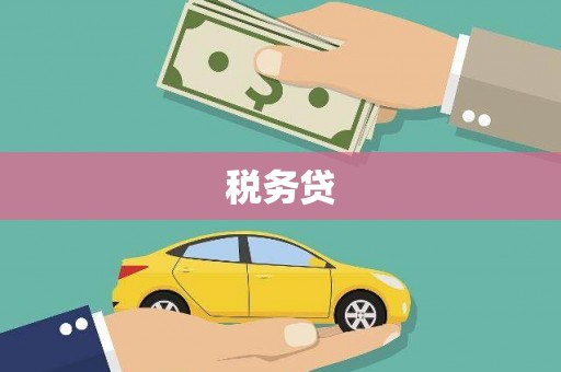 玉树税务贷