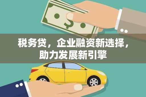 玉树税务贷，企业融资新选择，助力发展新引擎