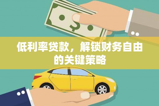 玉树低利率贷款，解锁财务自由的关键策略