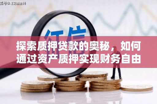玉树探索质押贷款的奥秘，如何通过资产质押实现财务自由