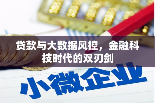 玉树贷款与大数据风控，金融科技时代的双刃剑