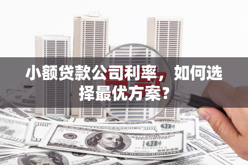 玉树小额贷款公司利率，如何选择最优方案？