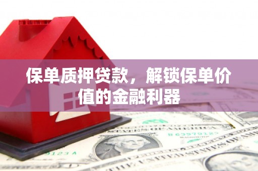 玉树保单质押贷款，解锁保单价值的金融利器