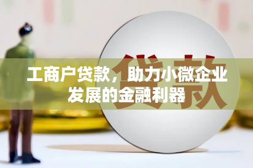 玉树工商户贷款，助力小微企业发展的金融利器