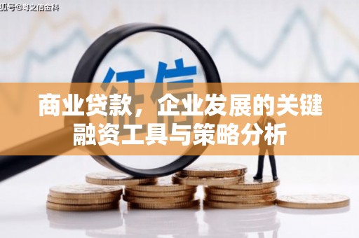 玉树商业贷款，企业发展的关键融资工具与策略分析