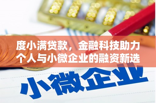玉树度小满贷款，金融科技助力个人与小微企业的融资新选择