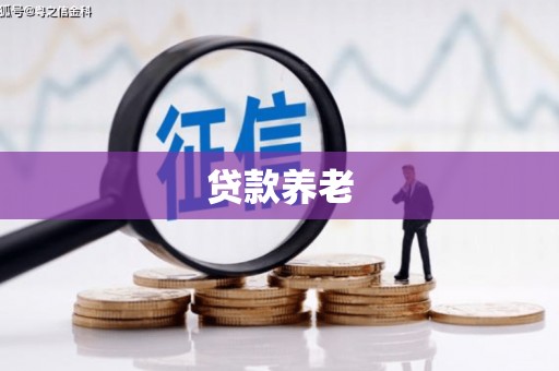 玉树贷款养老