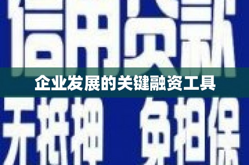 玉树企业发展的关键融资工具