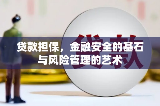 玉树贷款担保，金融安全的基石与风险管理的艺术