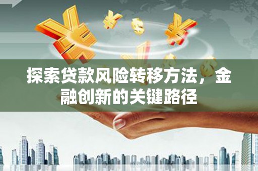 玉树探索贷款风险转移方法，金融创新的关键路径