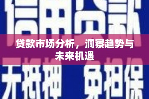 玉树贷款市场分析，洞察趋势与未来机遇