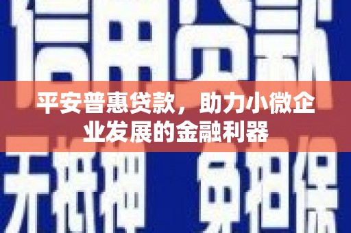 玉树平安普惠贷款，助力小微企业发展的金融利器