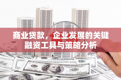 玉树商业贷款，企业发展的关键融资工具与策略分析