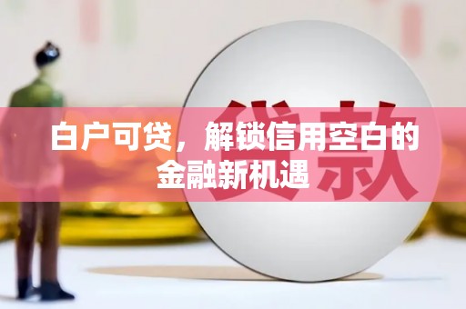 玉树白户可贷，解锁信用空白的金融新机遇