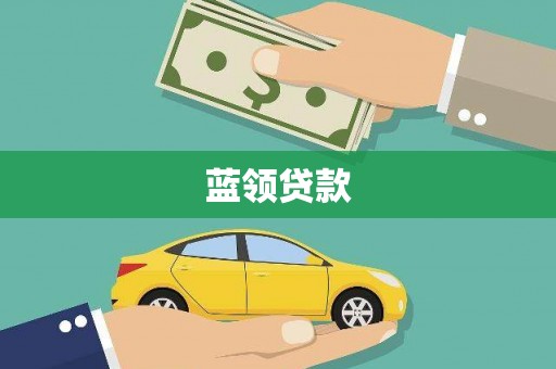 玉树蓝领贷款