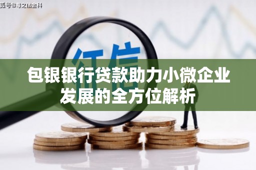 玉树包银银行贷款助力小微企业发展的全方位解析