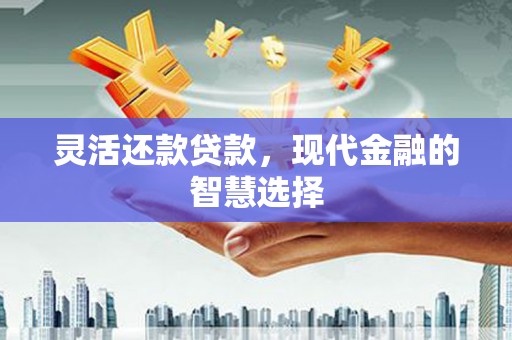 玉树灵活还款贷款，现代金融的智慧选择