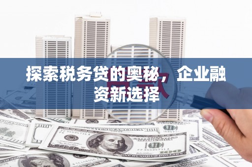玉树探索税务贷的奥秘，企业融资新选择